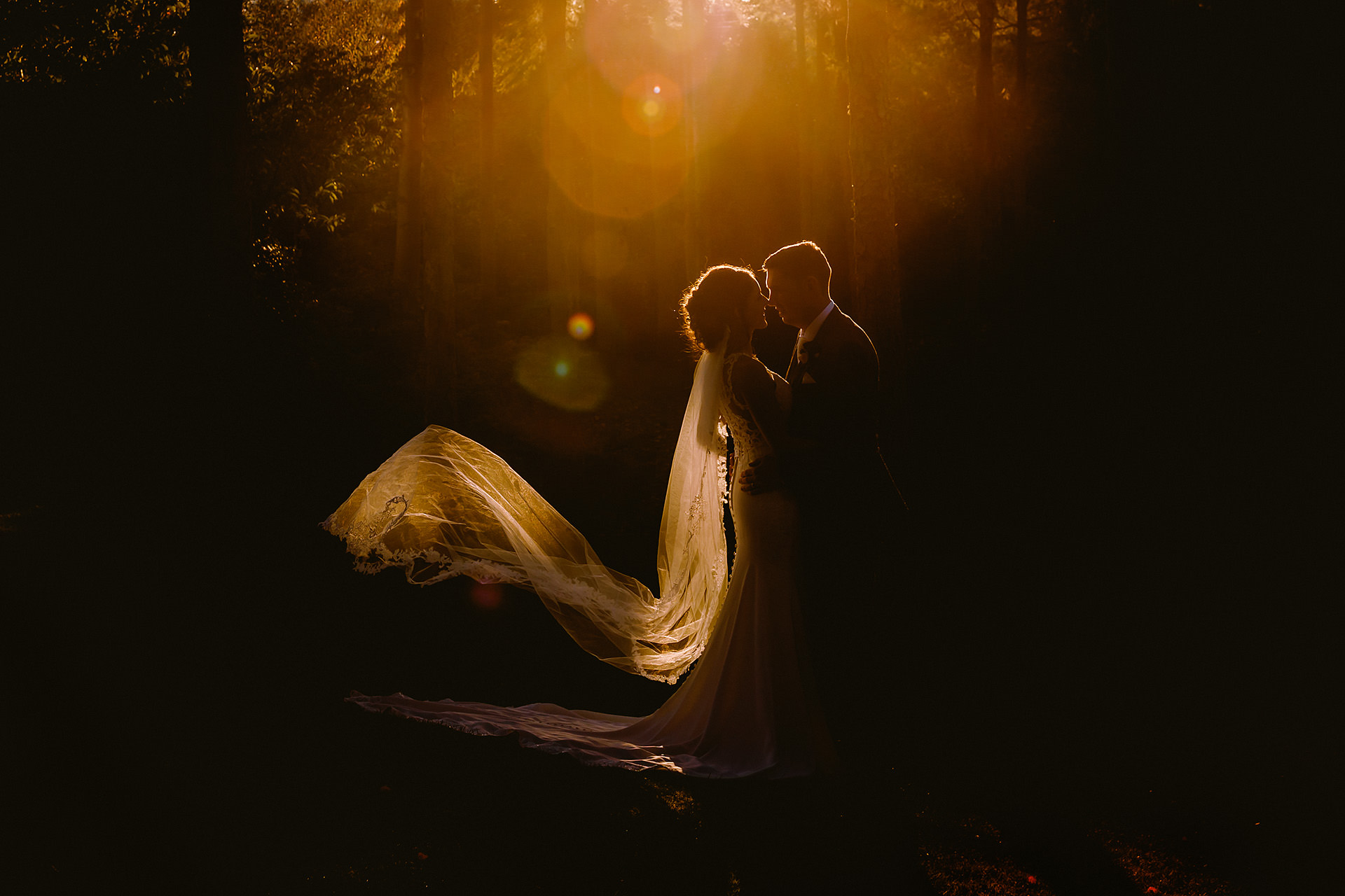 hillbark hotel wedding photographer, image of the bride and groom