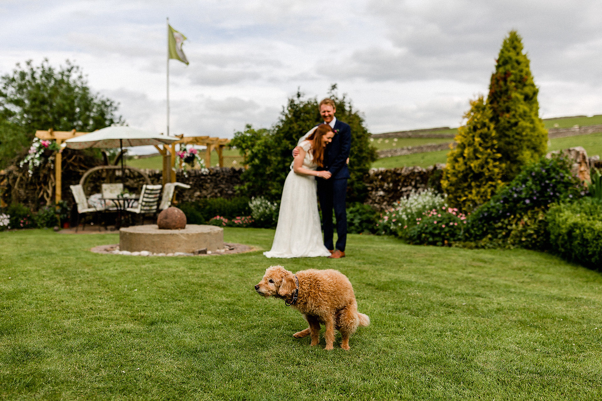 dog pooping in front of bride and groom
