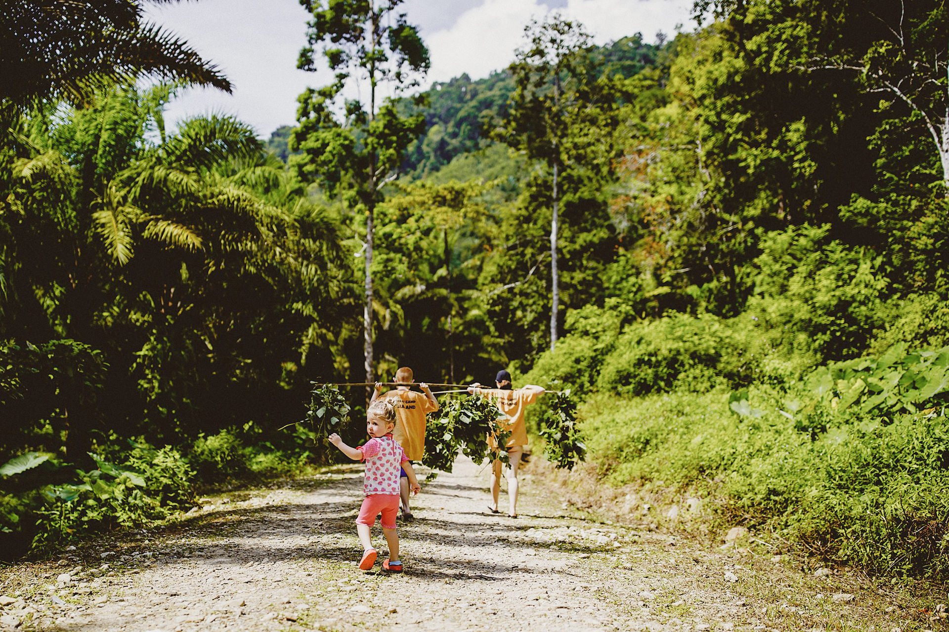 down the jungle track 