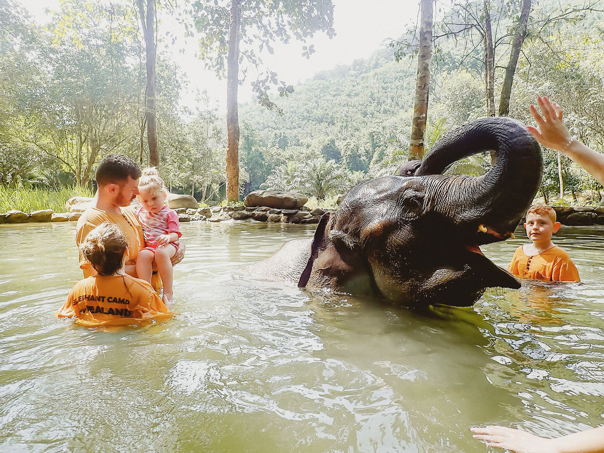 elephant in the water