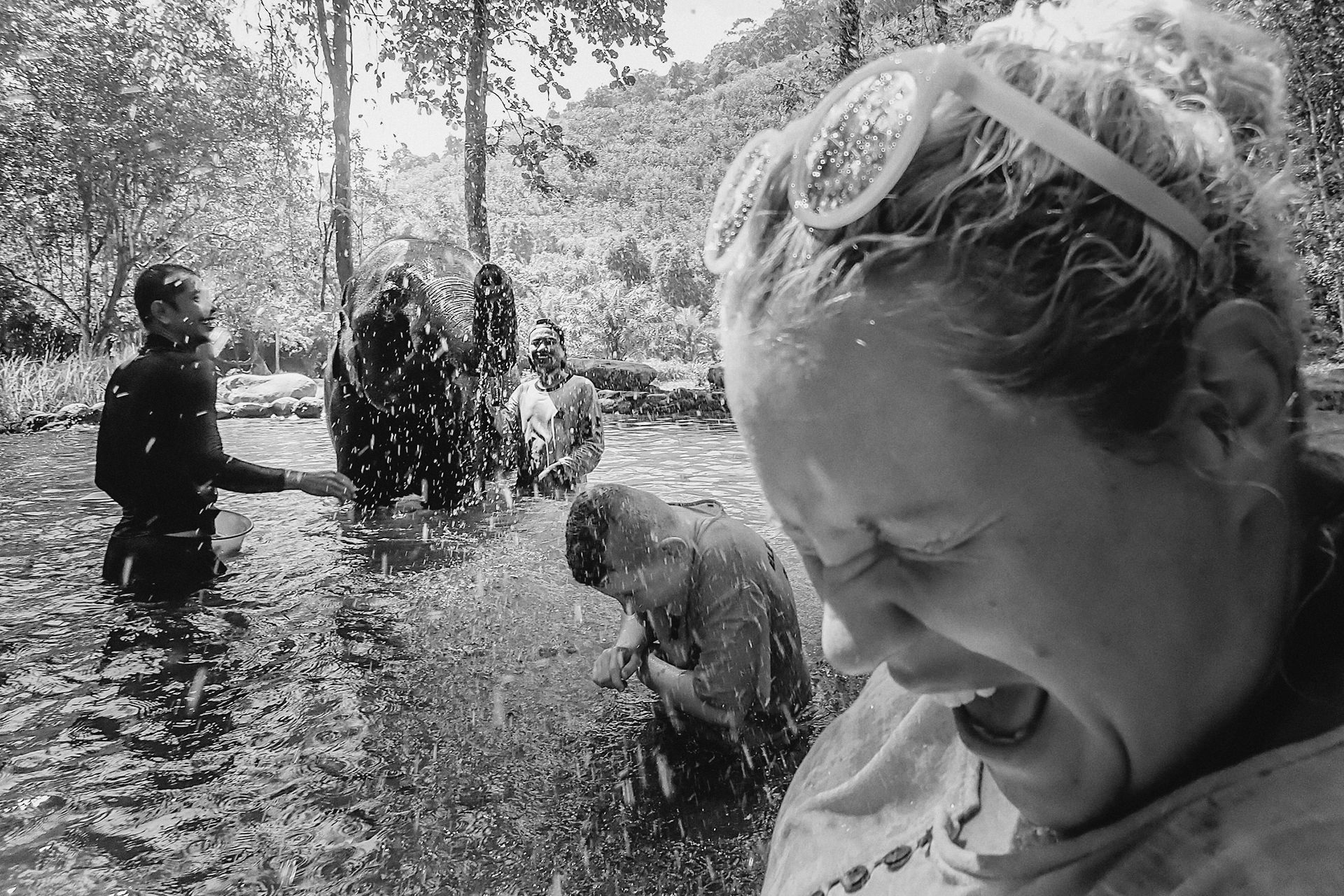 salloy getting sprayed by the elephant